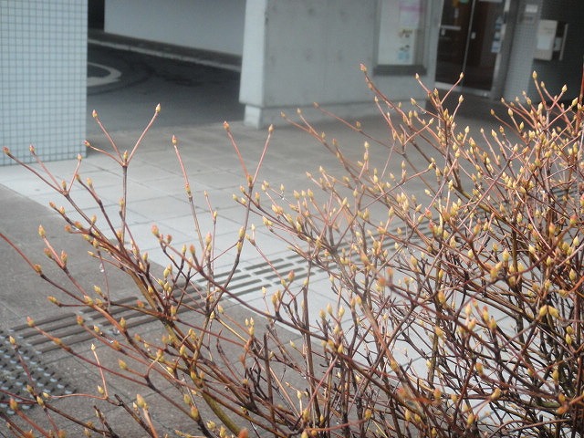 f0208737_82084.jpg
