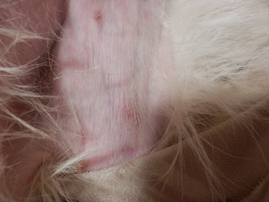 d0169340_224126.jpg