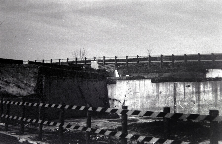 d0089742_1445763.jpg