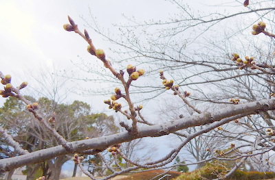 a0142343_10513978.jpg