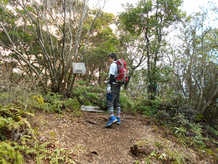 a0206345_10195675.jpg