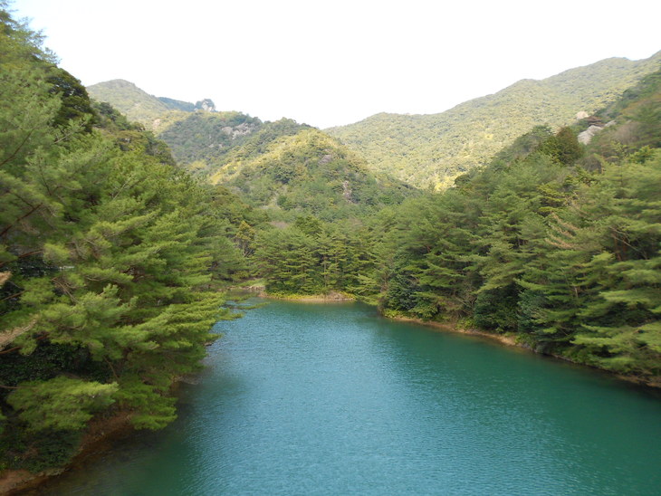 a0206345_11232462.jpg