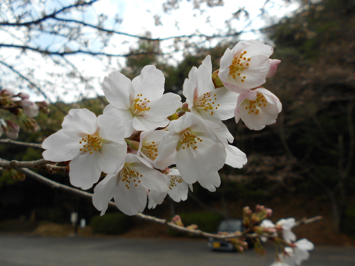 a0206345_9361571.jpg