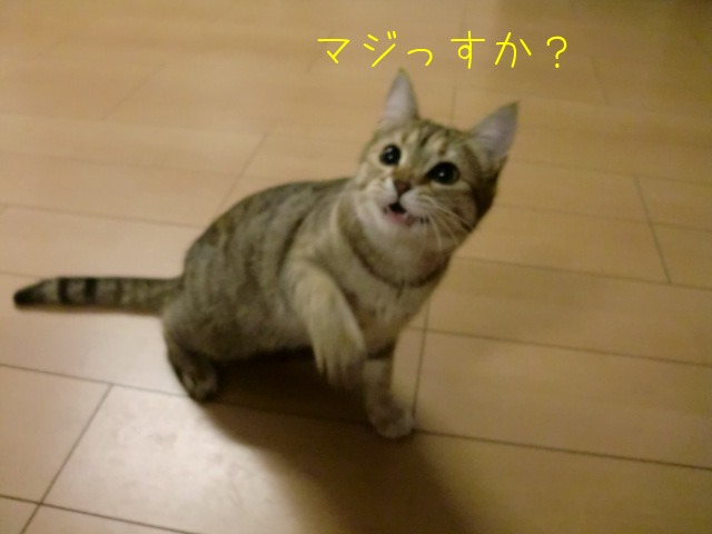 c0259945_9102551.jpg