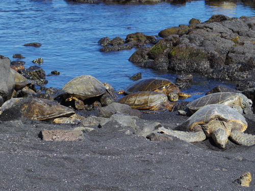 f0039446_197927.jpg