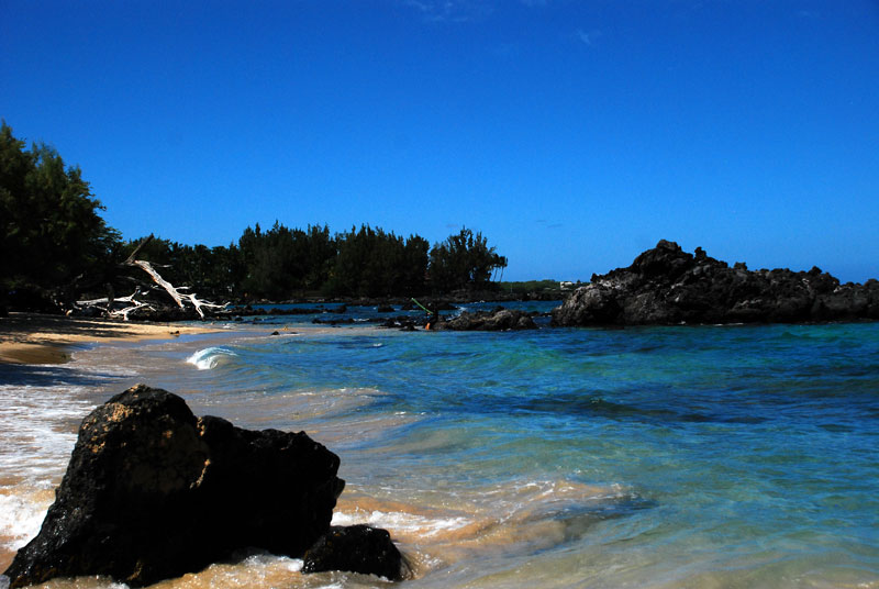 f0247849_23531078.jpg
