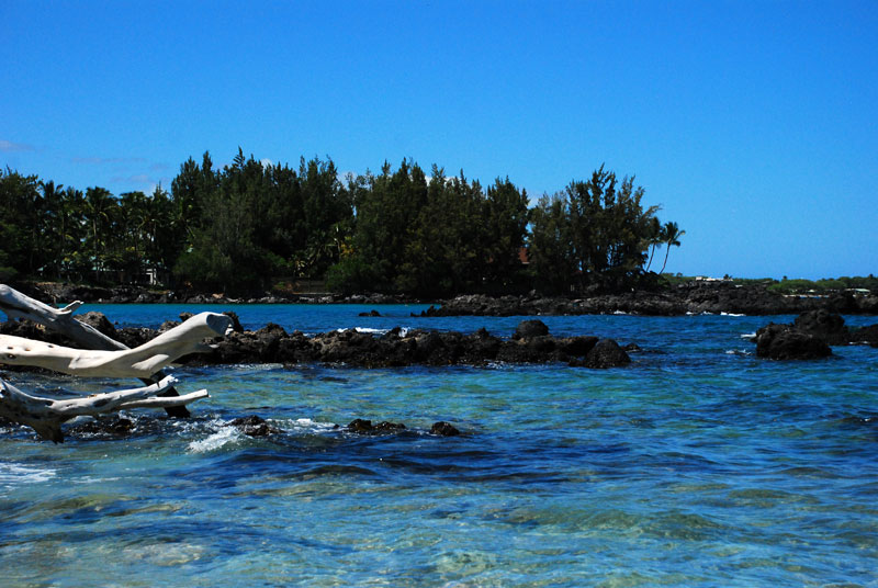 f0247849_2354151.jpg