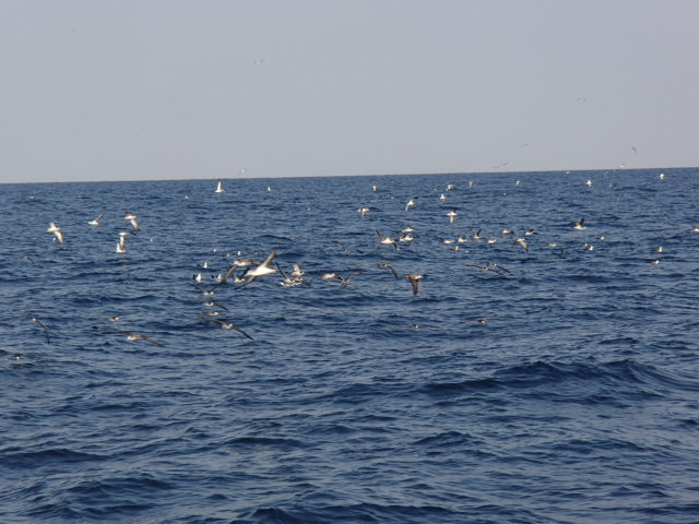 a0248152_19221736.jpg