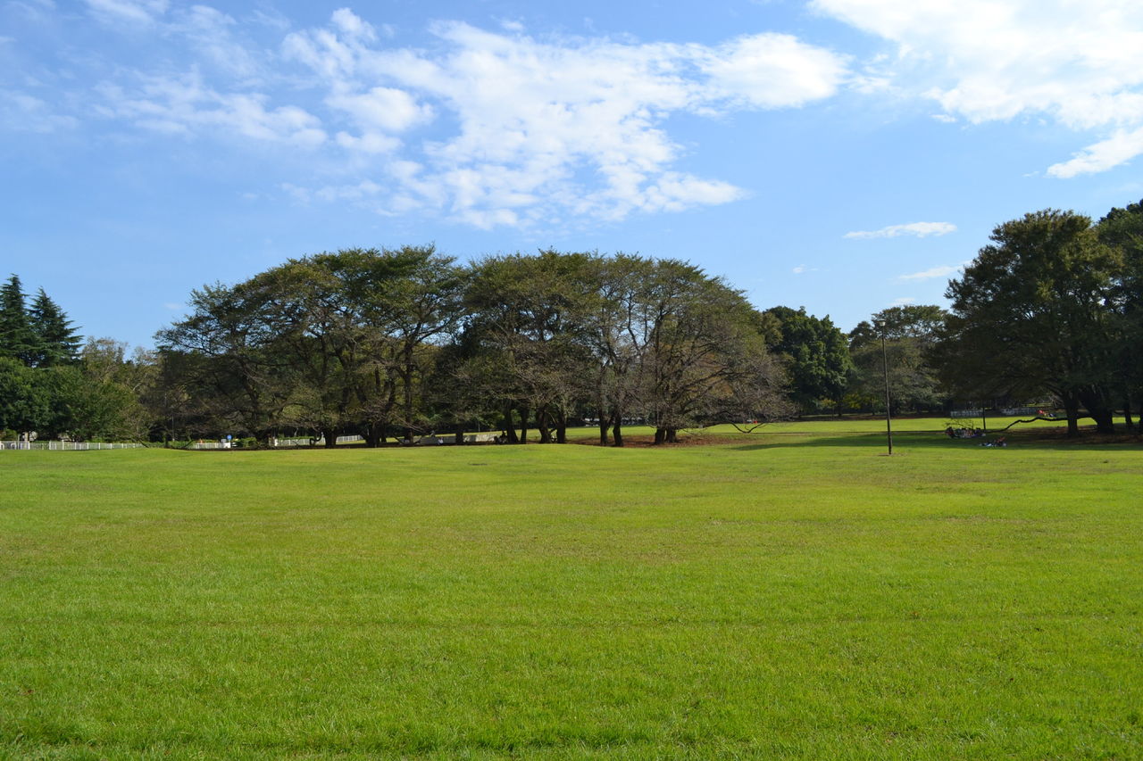 f0188254_18133454.jpg
