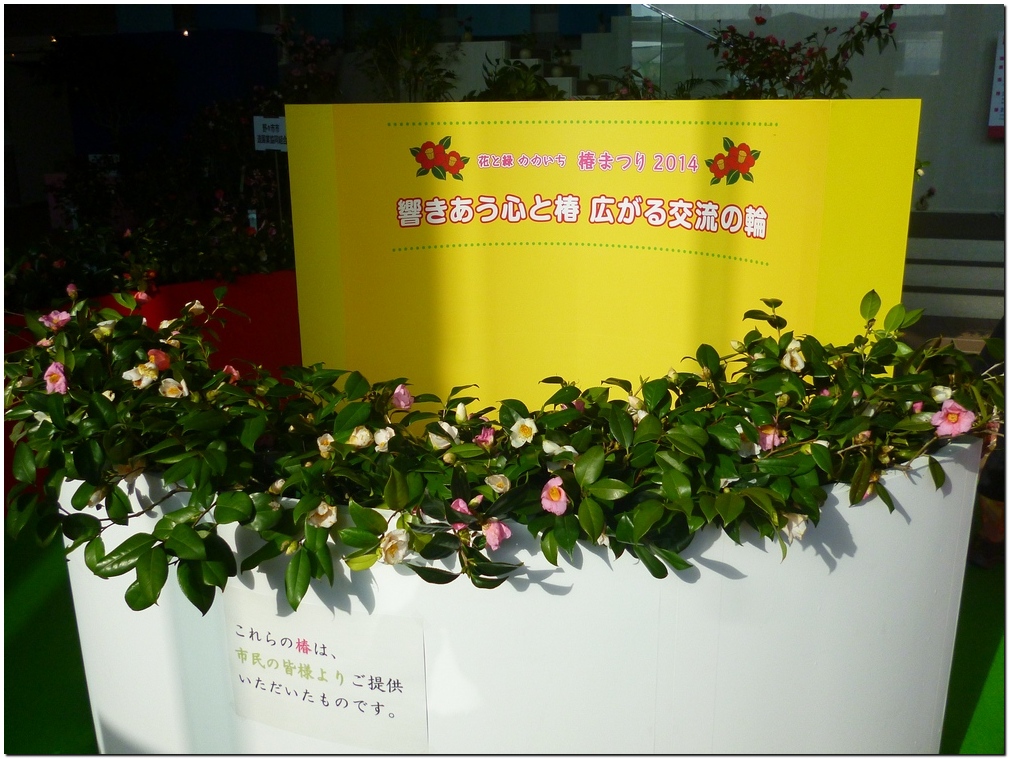 c0311956_1249715.jpg