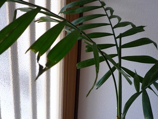 f0221360_16575878.jpg