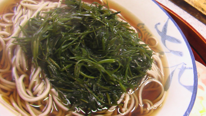 b0208961_17275610.jpg