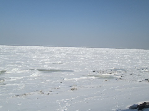 d0029363_14492588.jpg