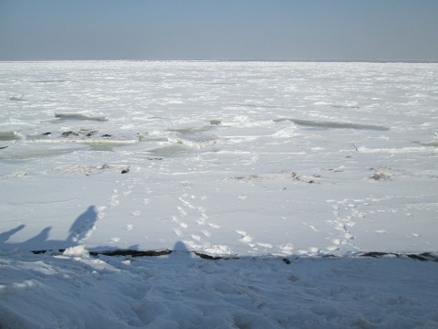 d0029363_14494750.jpg