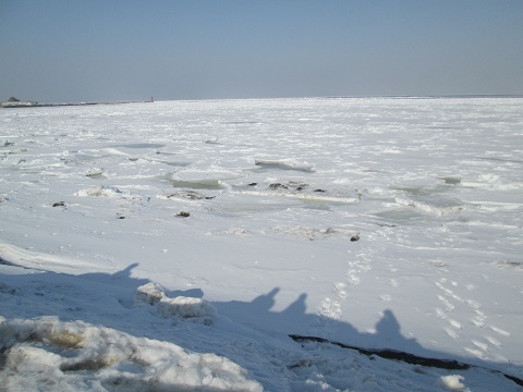 d0029363_14511635.jpg