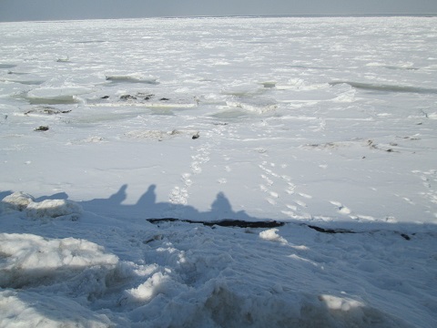 d0029363_1451485.jpg