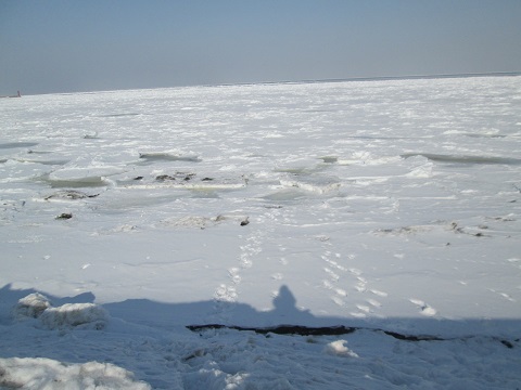 d0029363_1451553.jpg