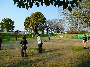 e0002466_19162265.jpg