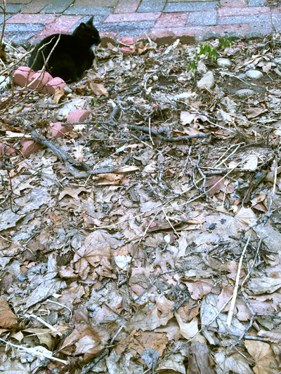 f0056476_7111940.jpg