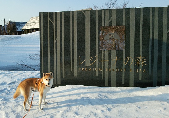 f0230777_14112241.jpg