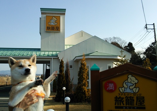 f0230777_1422881.jpg