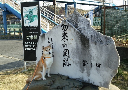 f0230777_1452332.jpg