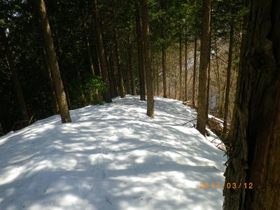 c0145582_15302655.jpg