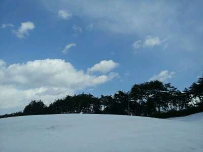 d0153683_105415100.jpg