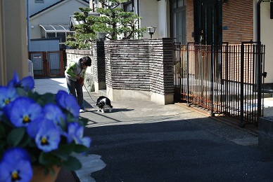 e0121583_1427199.jpg