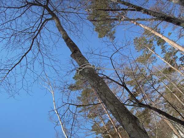 f0045283_20584434.jpg