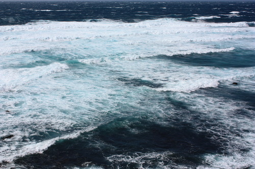 c0204385_17381574.jpg