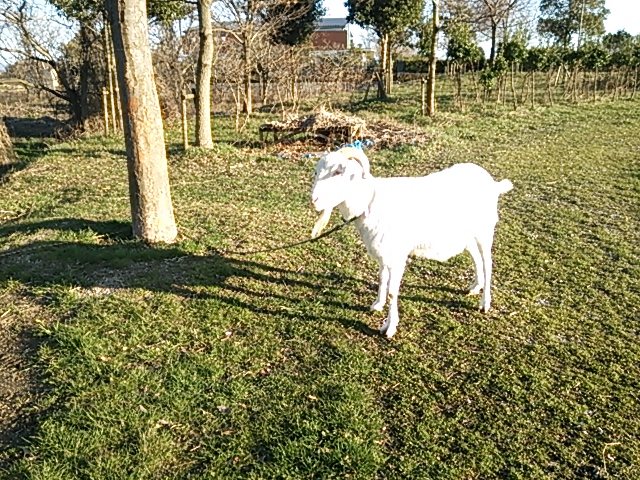 c0204188_1827467.jpg