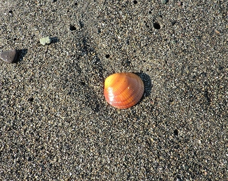 e0143690_1539757.jpg
