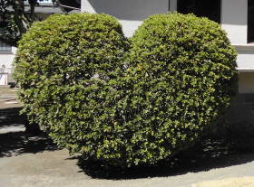 c0122791_17421718.jpg