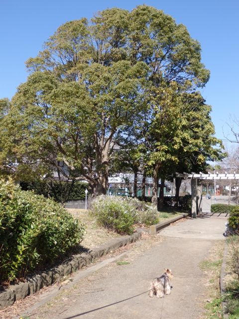 f0130894_23521018.jpg