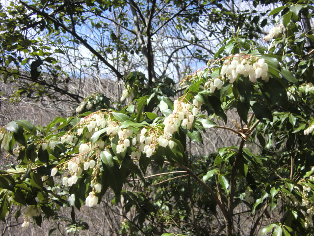 b0044296_01153.jpg