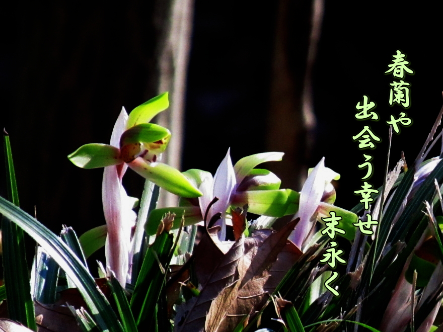 f0137096_15221589.jpg