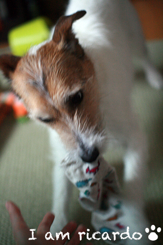 d0150704_102294.jpg