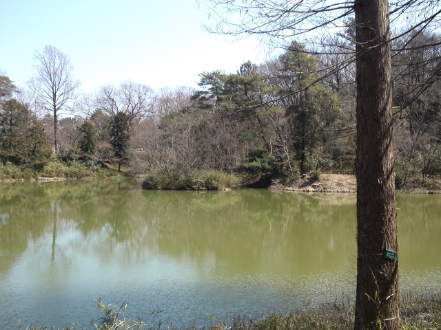 f0310804_1093080.jpg
