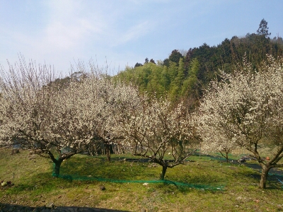 e0252905_1516654.jpg