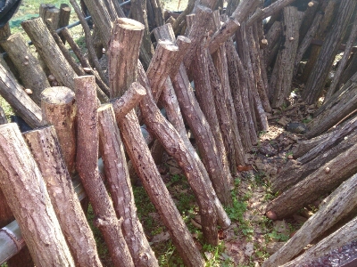 e0252905_15172927.jpg