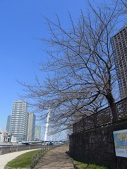 d0115106_15314042.jpg