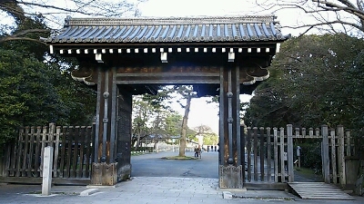 a0048609_6241959.jpg