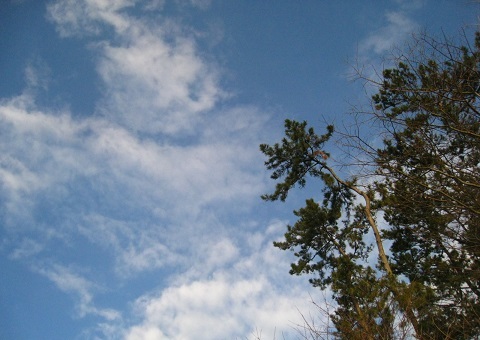 c0084117_18123119.jpg