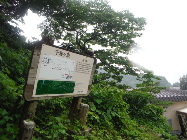 b0136931_11555648.jpg