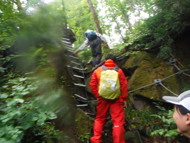 b0136931_11573279.jpg