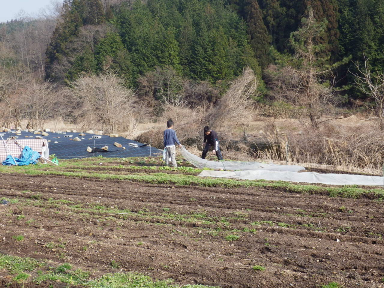 c0300035_923168.jpg