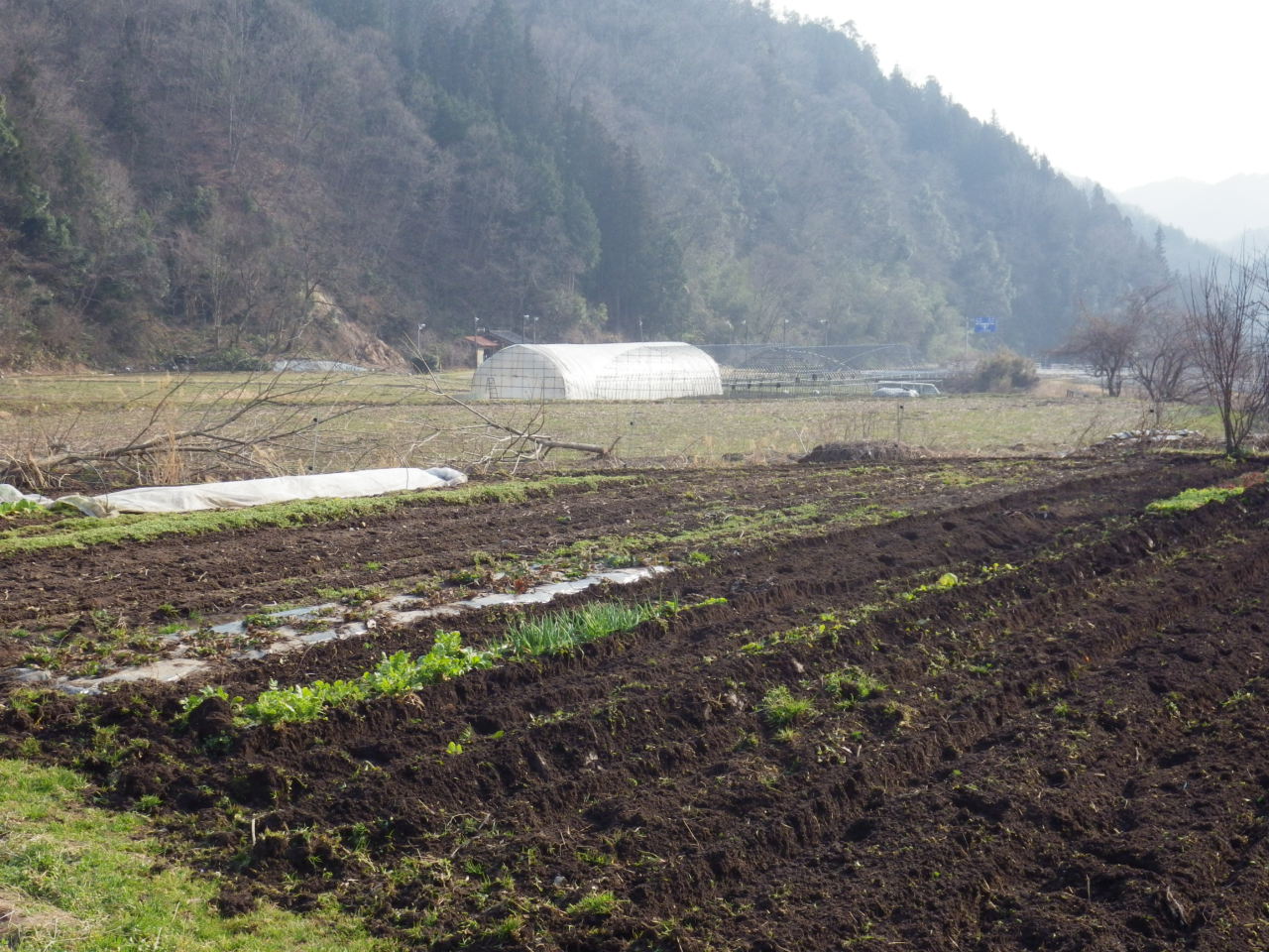 c0300035_9233214.jpg