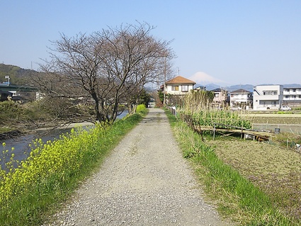 e0066135_1931876.jpg