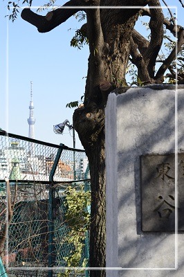 e0307335_17311121.jpg